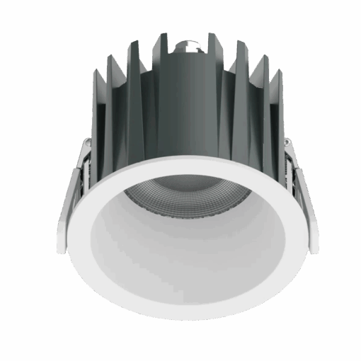 V10DLF - Ảnh 2