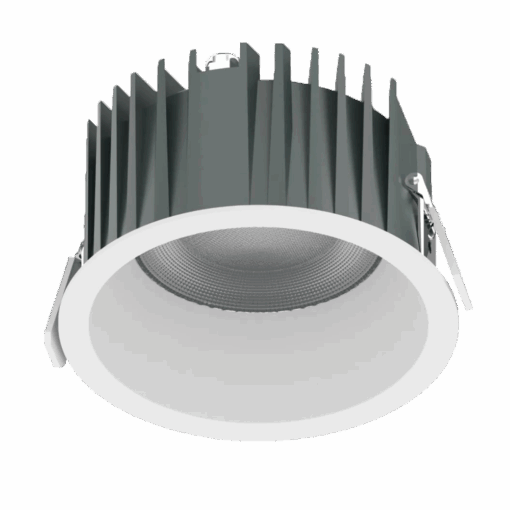 V10DLF - Ảnh 4