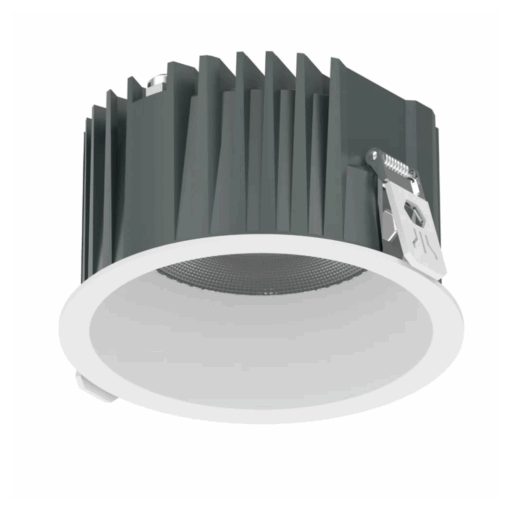 V10DLF - Ảnh 6