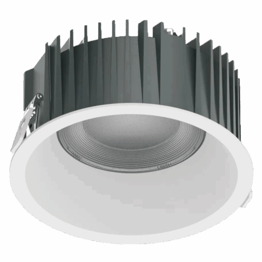 V10DLF - Ảnh 8
