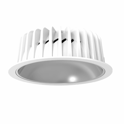V11DLF - Ảnh 2
