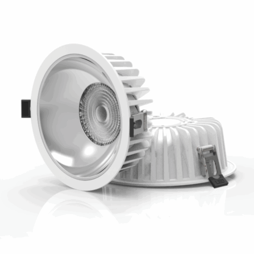 V11DLF - Ảnh 3