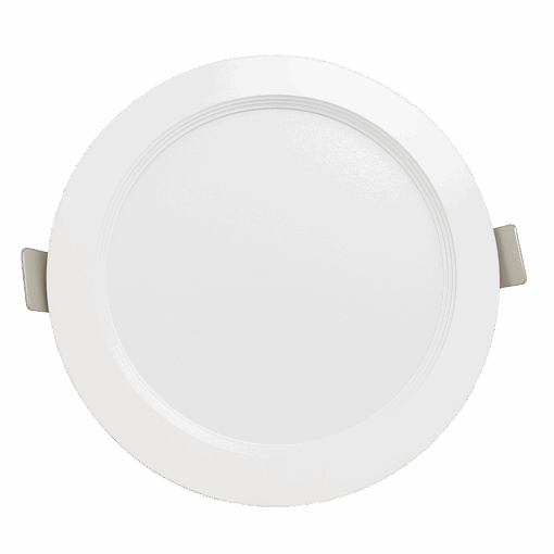 V1DLF - Ảnh 2