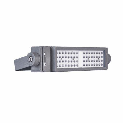 V1FLM