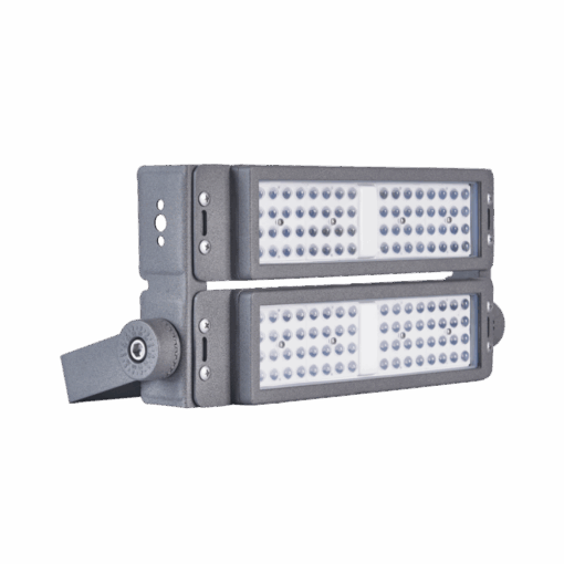 V1FLM - Ảnh 2