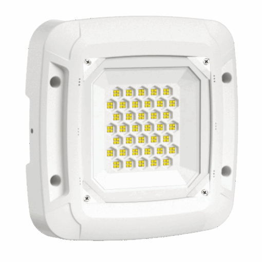 V1GSM - Ảnh 2