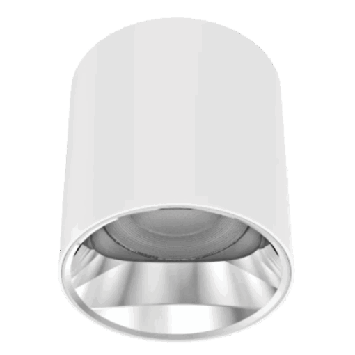 V3CLF - Ảnh 2
