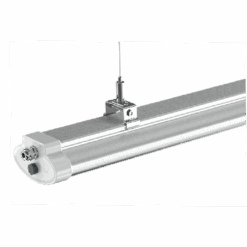 V3LTP