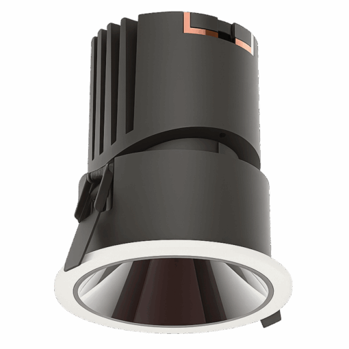 V5DLA - Ảnh 2