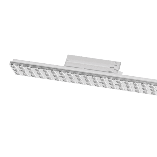 V9TR3 - Ảnh 4