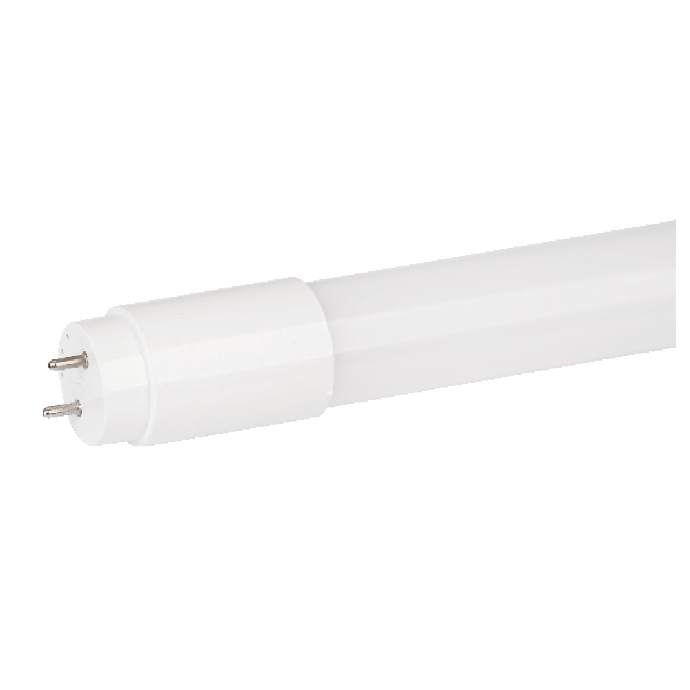 V1TLF - Ảnh 2