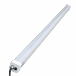 V1LTP