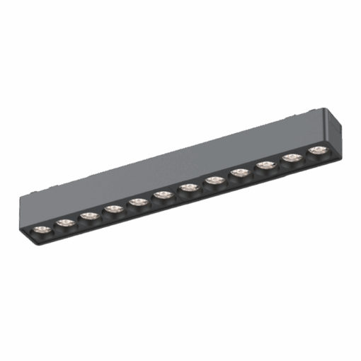 V1MSF - Ảnh 2