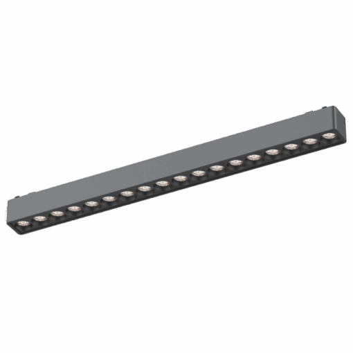 V1MSF - Ảnh 2
