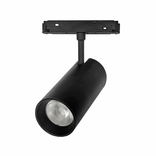 V2MPA - Ảnh 3