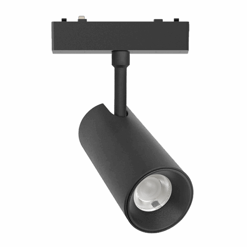 V2MSA - Ảnh 2