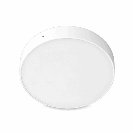 V1CLF - Ảnh 2