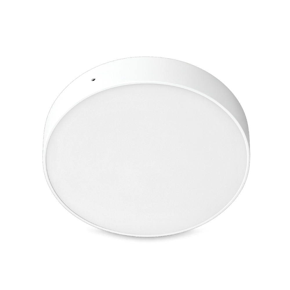 V1CLF - Ảnh 2