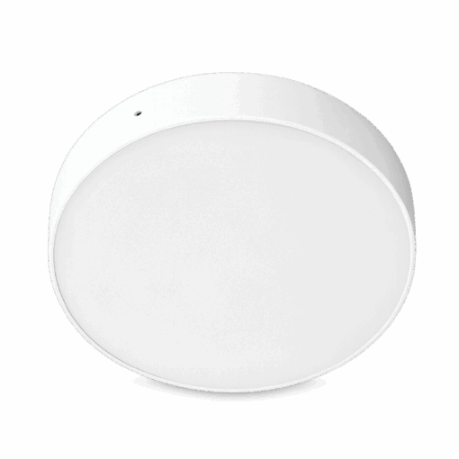V1CLF - Ảnh 2