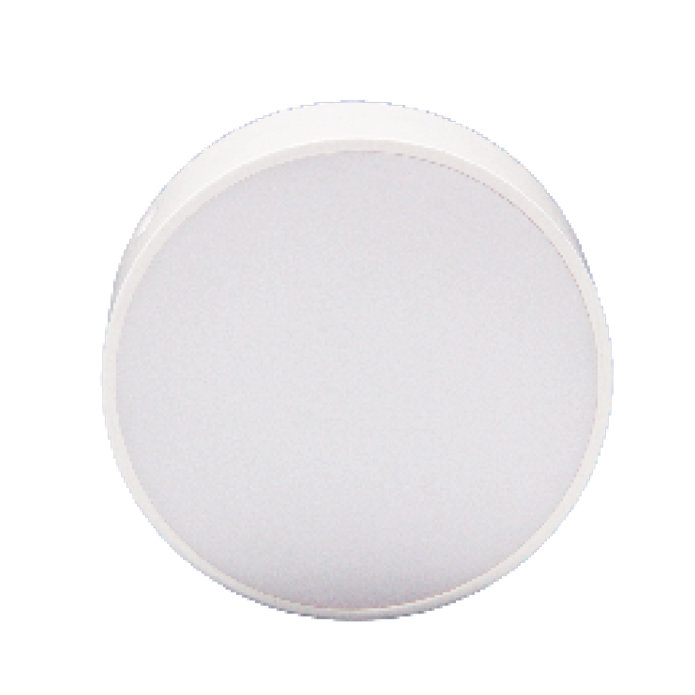 V1CLF - Ảnh 3