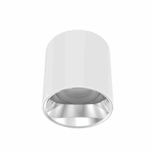 V3CLF - Ảnh 3