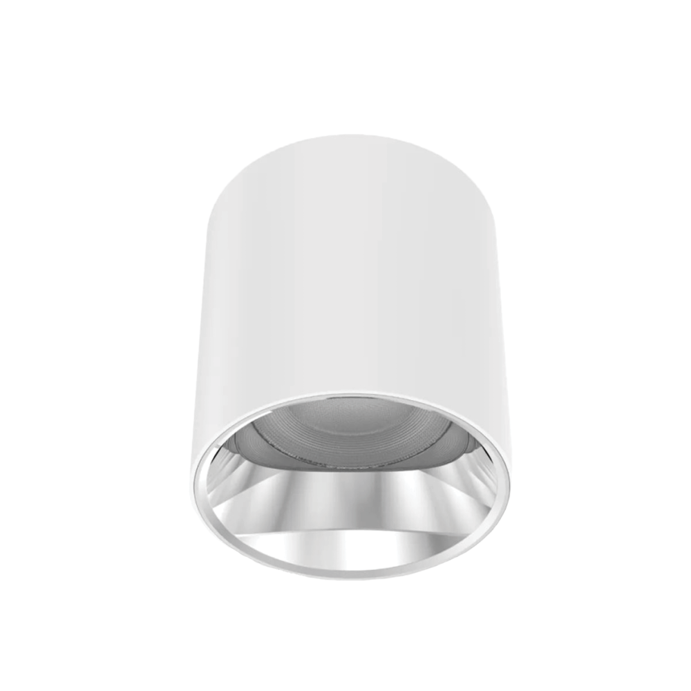 V3CLF - Ảnh 3
