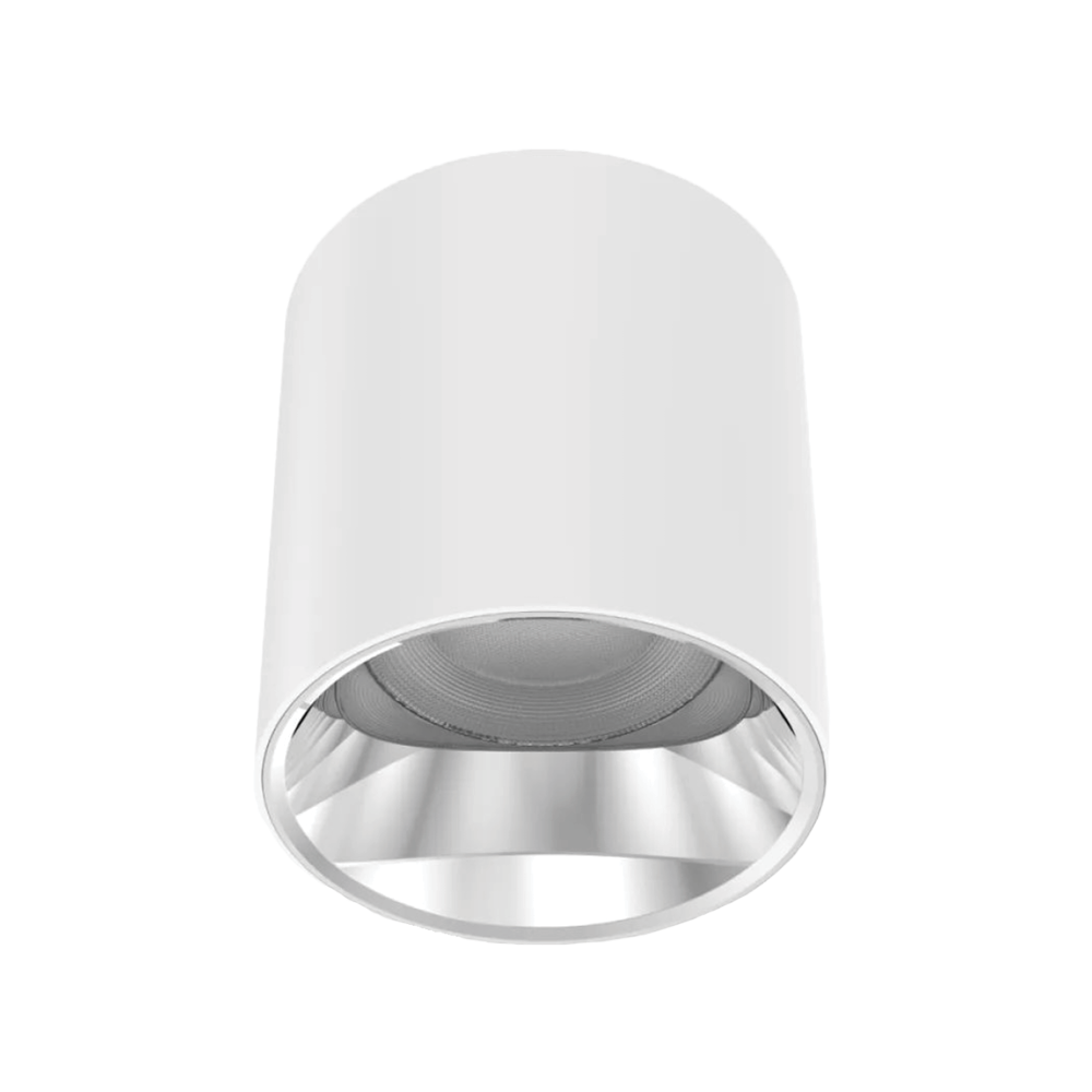 V3CLF - Ảnh 2