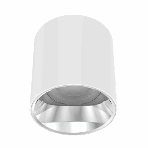 V3CLF - Ảnh 3
