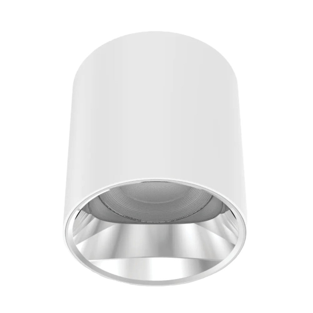 V3CLF - Ảnh 3