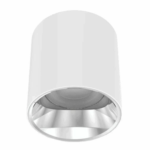 V3CLF - Ảnh 3
