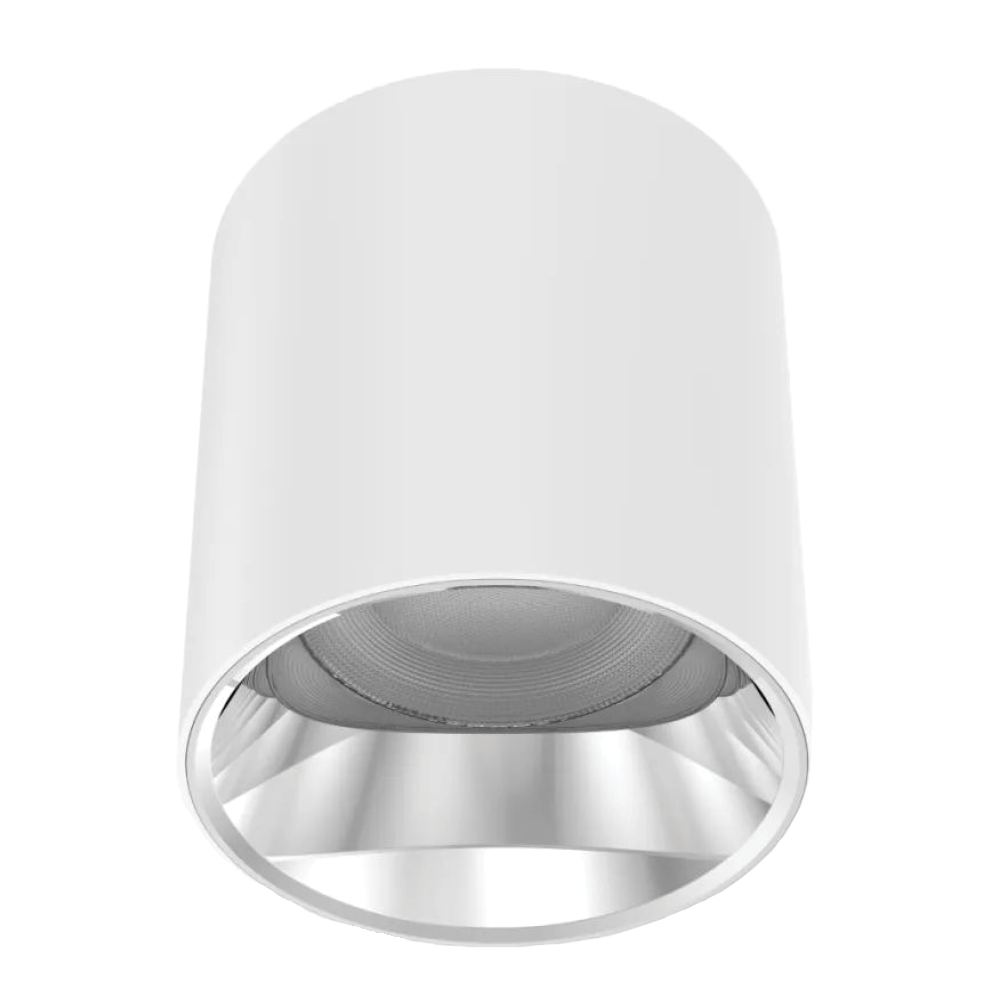 V3CLF - Ảnh 3
