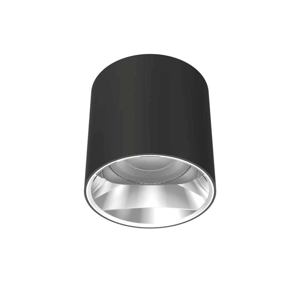 V3CLF - Ảnh 2