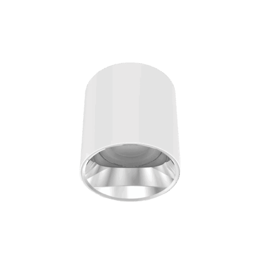 V3CLF - Ảnh 3