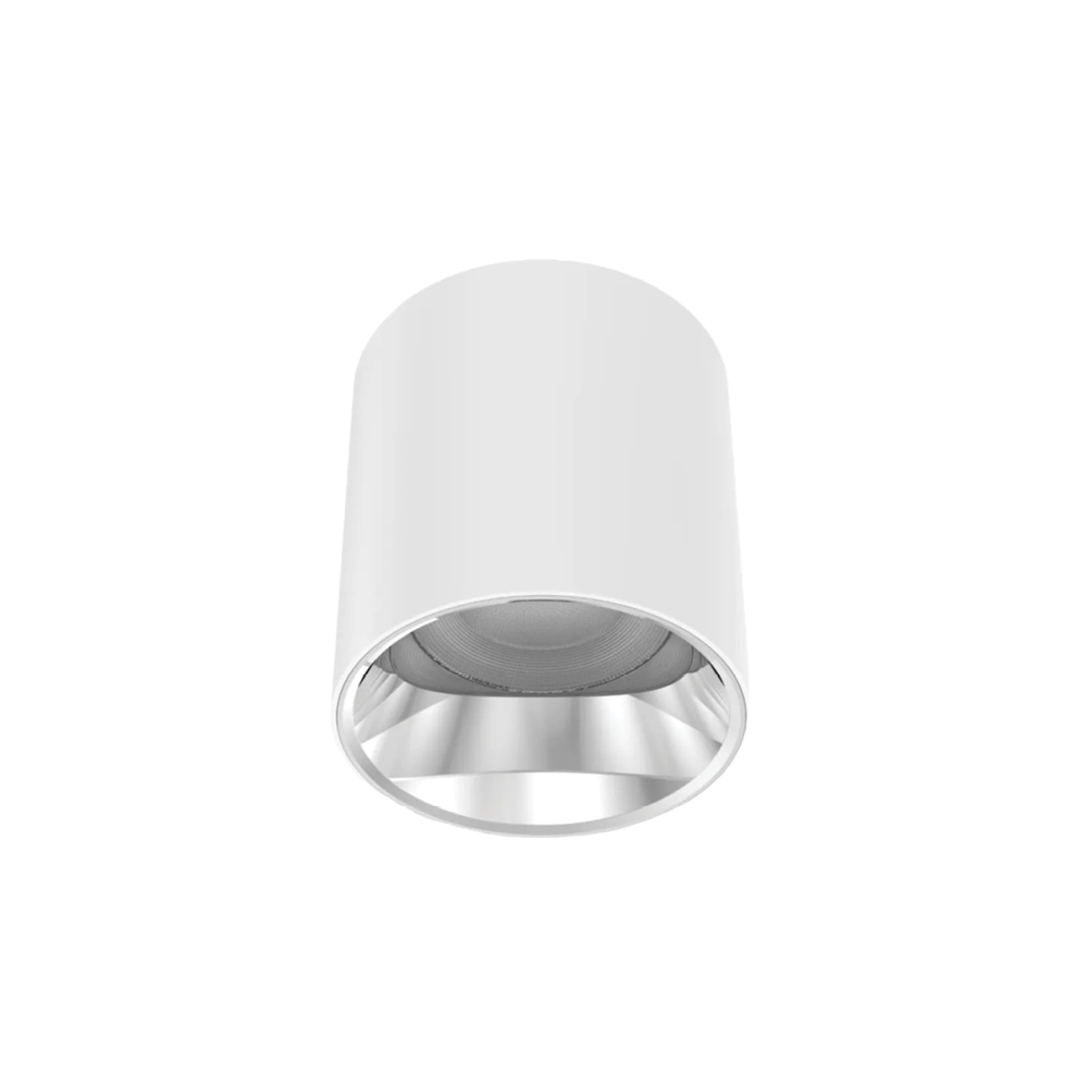 V3CLF - Ảnh 3