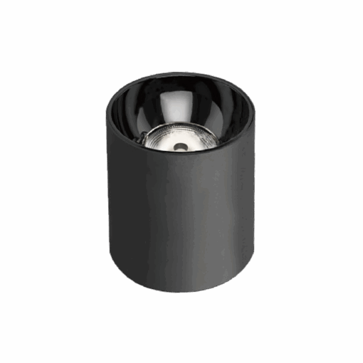 V12CLF - Ảnh 2