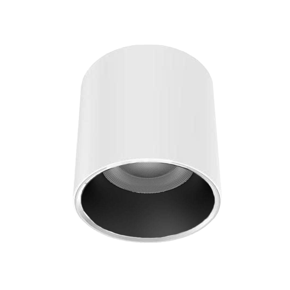 V12CLF - Ảnh 2