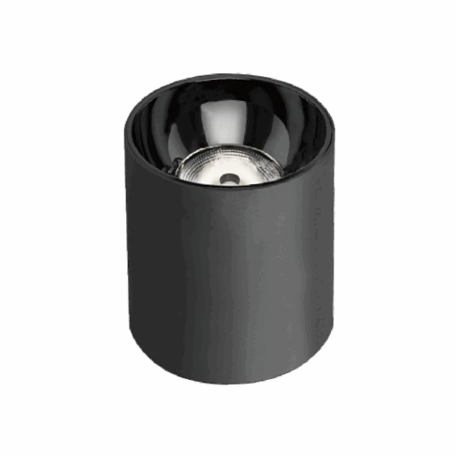 V12CLF - Ảnh 3