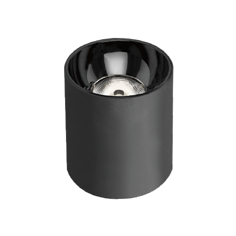 V12CLF - Ảnh 3