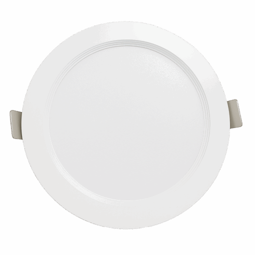 V1DLF - Ảnh 3