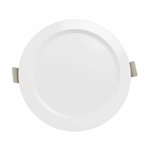 V1DLF - Ảnh 2