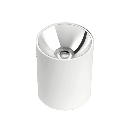 V4CLF - Ảnh 2