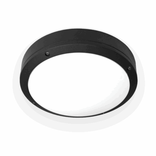V7CLF - Ảnh 2