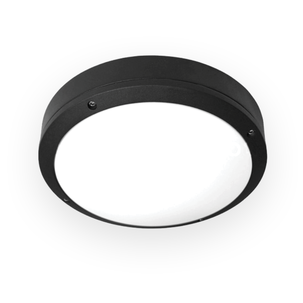 V7CLF - Ảnh 2