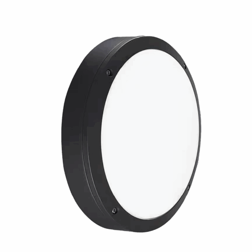 V7CLF - Ảnh 3