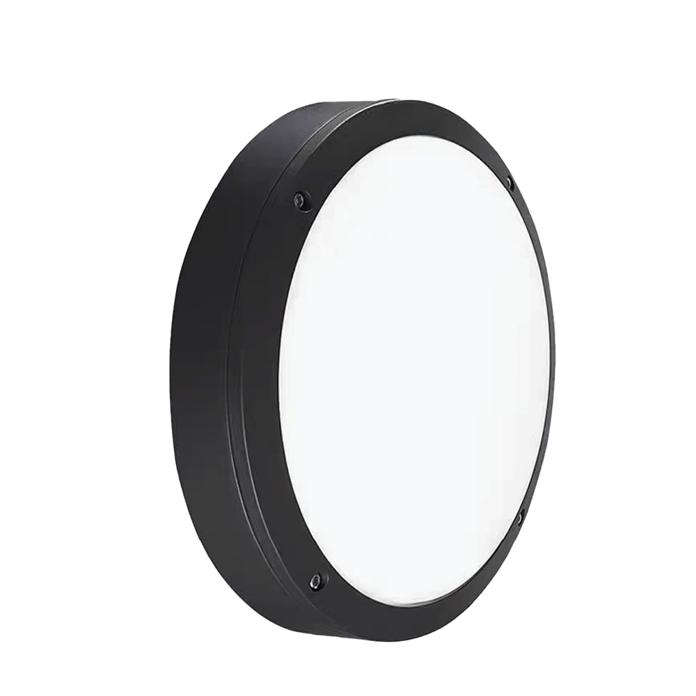 V7CLF - Ảnh 3