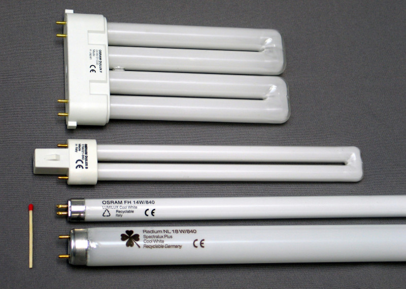 Đèn huỳnh quang vừa có giá thấp, vừa nhiều kiểu dáng