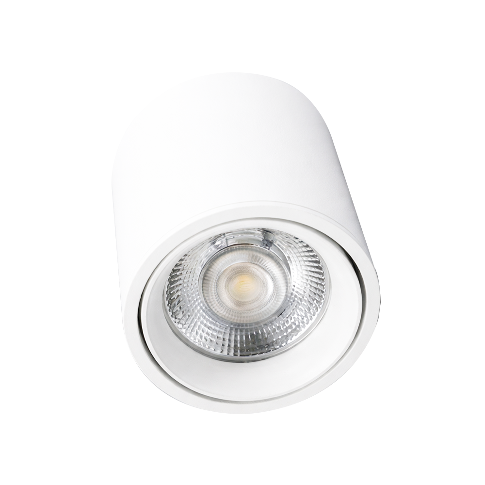 Đèn ốp nổi V4CLA