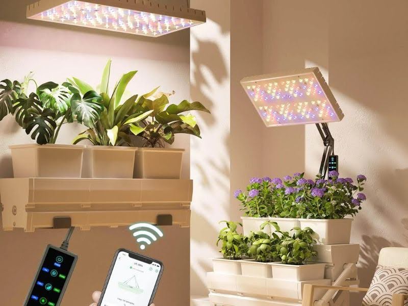 Cách lựa chọn đèn trồng cây trong nhà phù hợp